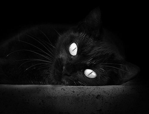 kaiyun.com-2026年F1新政策解读，f1明年最新规则