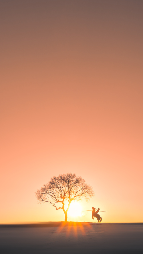 Kaiyun APP-_湖人团队发力，迎来精彩反弹_，快速了解湖人队