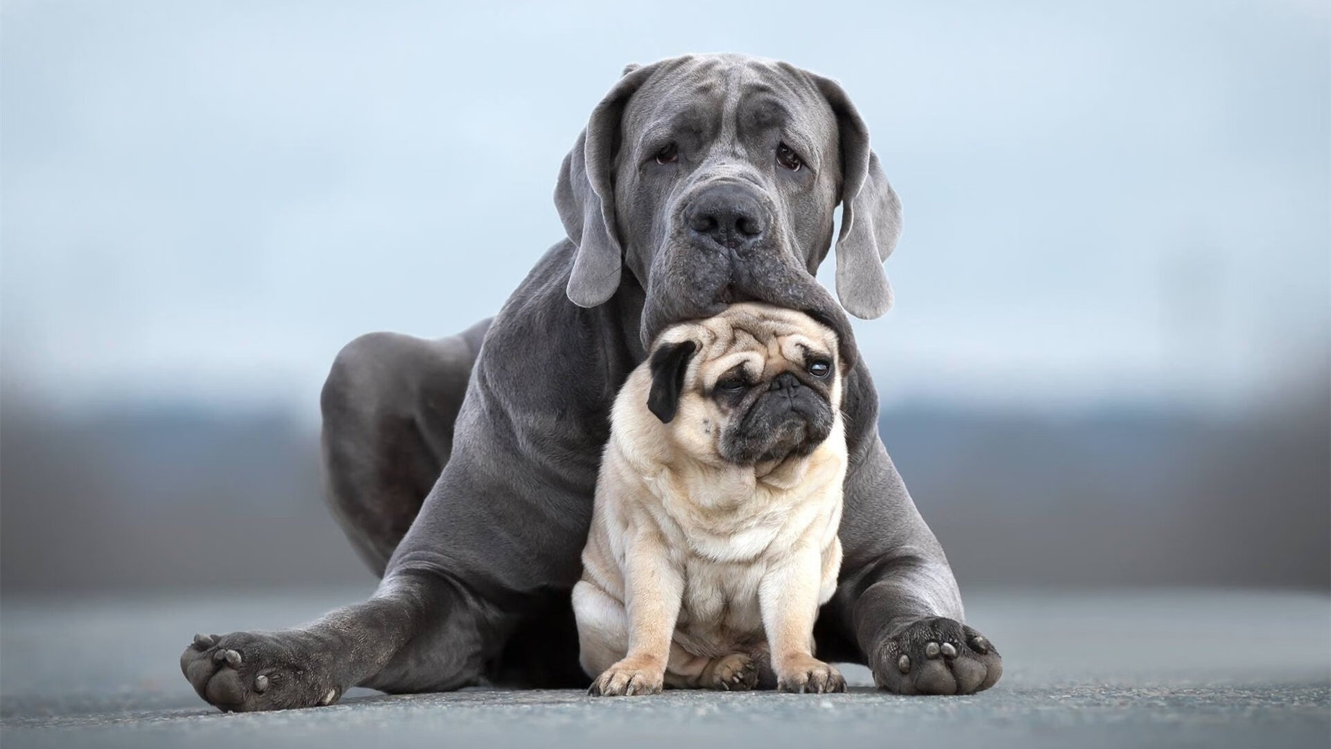 kaiyun官方入口登录-“惊天逆转！抢先领先后被逆转，剧情反转精彩纷呈”，惊天逆转最后捡走u盘的人是谁