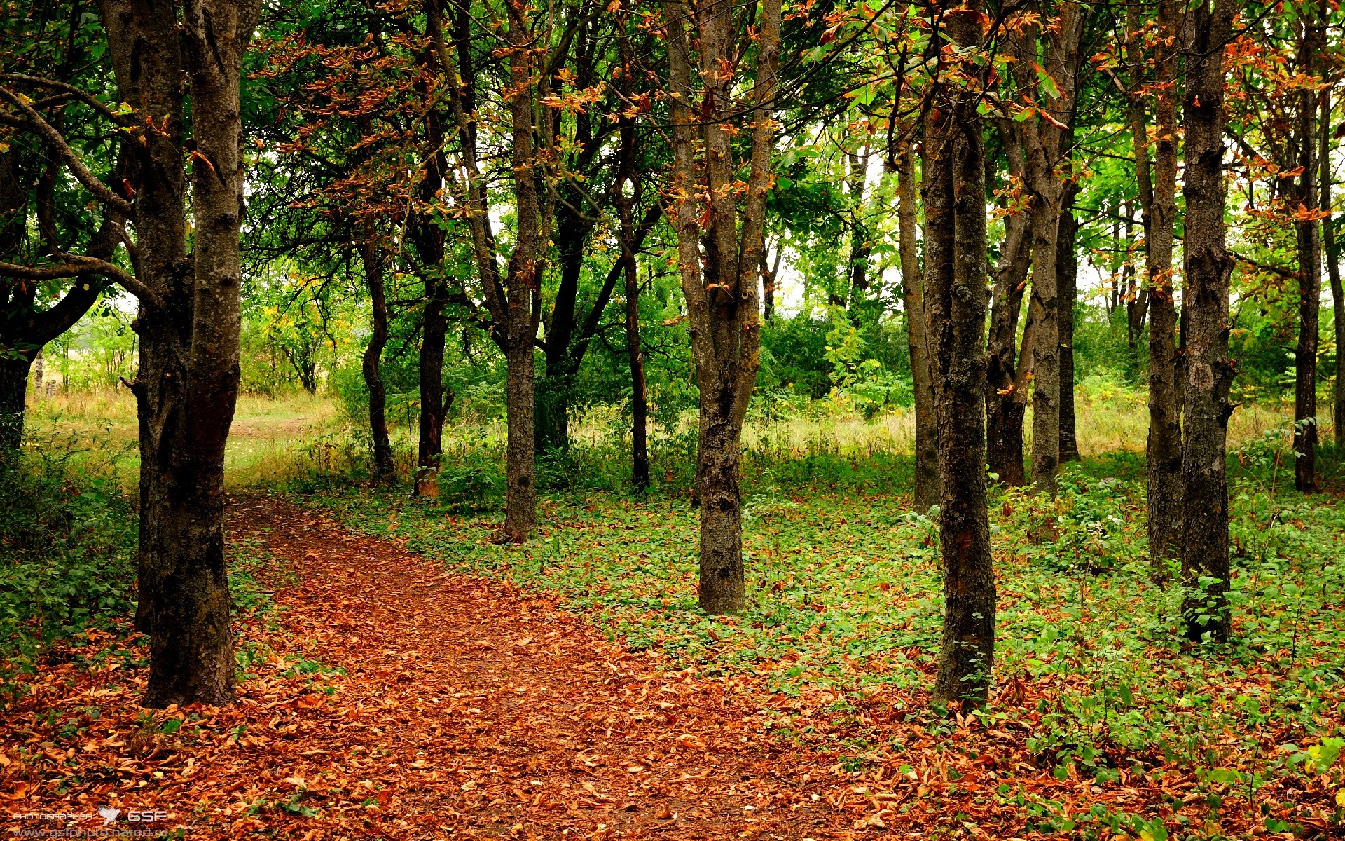 开云·体育官网APP下载-关键战里，他用多次“飞身封堵”拒绝对手“空中接力”！