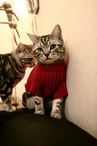 kaiyun 开云体育-国足国家荣誉感强化，队伍凝聚力增强，足球国家队荣誉排名