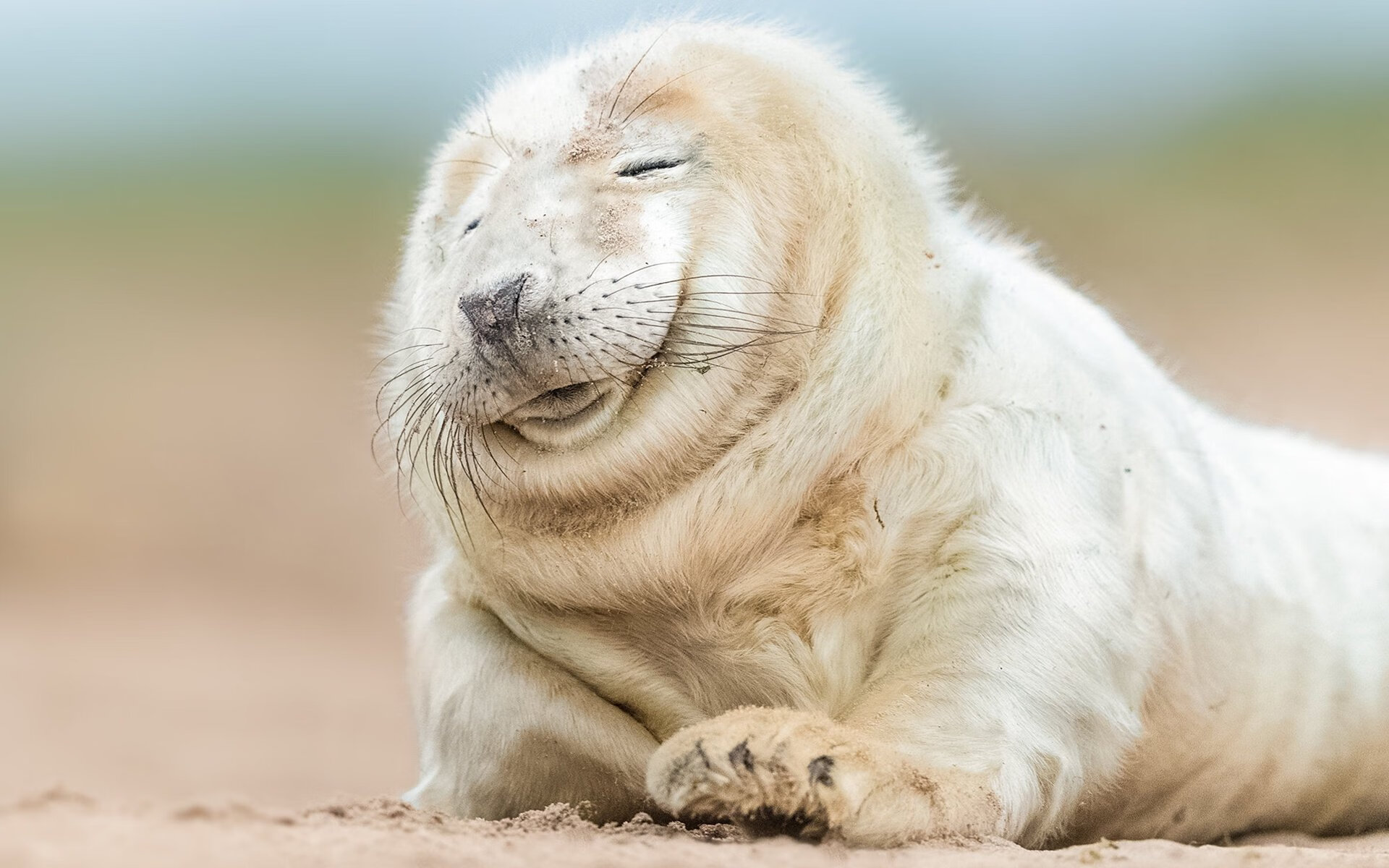 开云官方网页登录-巴朗加国王替补阵容贡献稳定，巴朗是啥意思