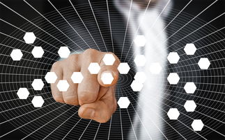 开云体育网页版入口-篮球专项技能动作视频教学资源开发及应用，篮球各项基本技术动作要领讲解