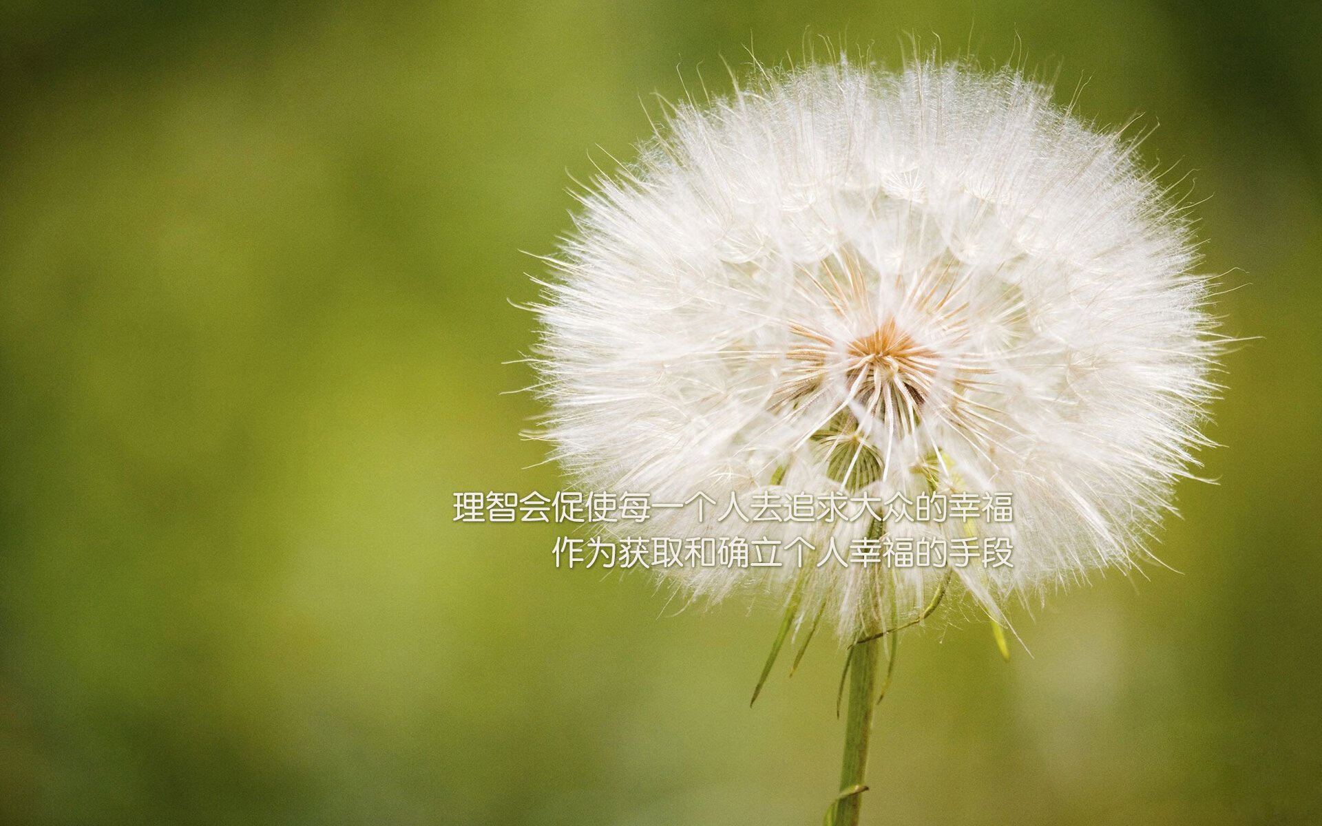 详细阅读:开云官方-吉尔吉斯斯坦男篮在亚洲预赛中拼搏,追逐突破 开云官方-吉尔吉斯斯坦男篮在亚洲预赛中拼搏,追逐突破