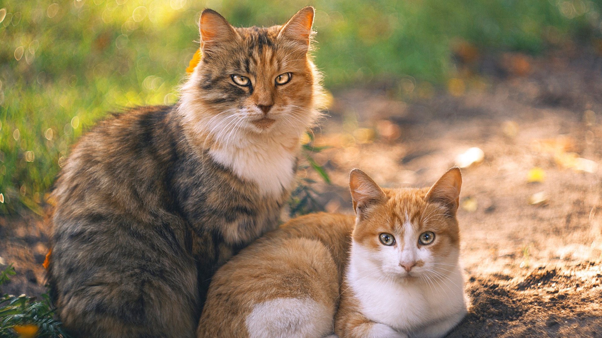 详细阅读:开云·体育全站登录地址-国家队热身赛安排密集确保集训成果得以检验,国家队热身赛直播 开云·体育全站登录地址-国家队热身赛安排密集确保集训成果得以检验,国家队热身赛直播