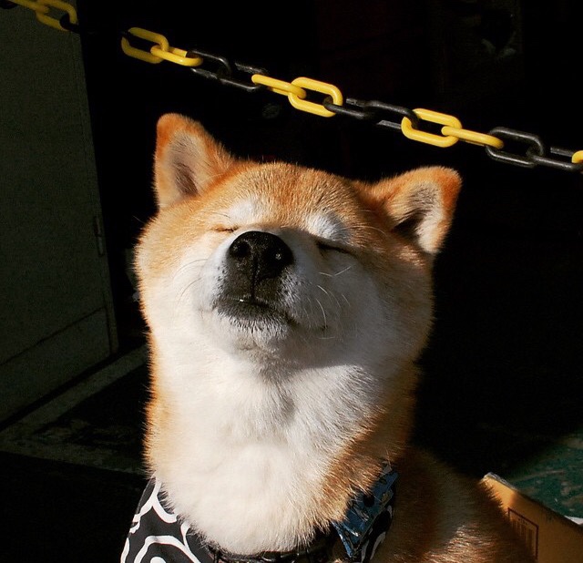 开云官网登录-法甲霸气进攻：打穿对方防线的精彩瞬间！，法甲动作大