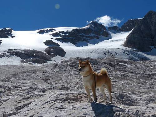 开云官网首页-篮网大咖直播互动引粉丝打call，篮网 视频